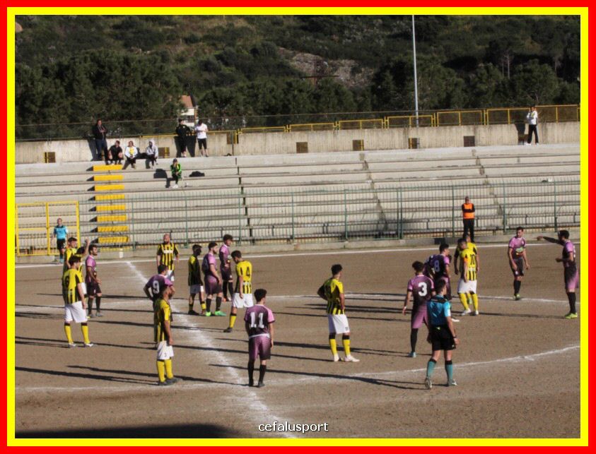 190310 Cephal_Torrenov 172_tn.jpg